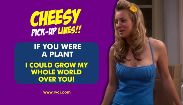 cheesy pick-up lines