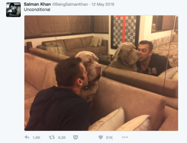 salman khan tweets 3