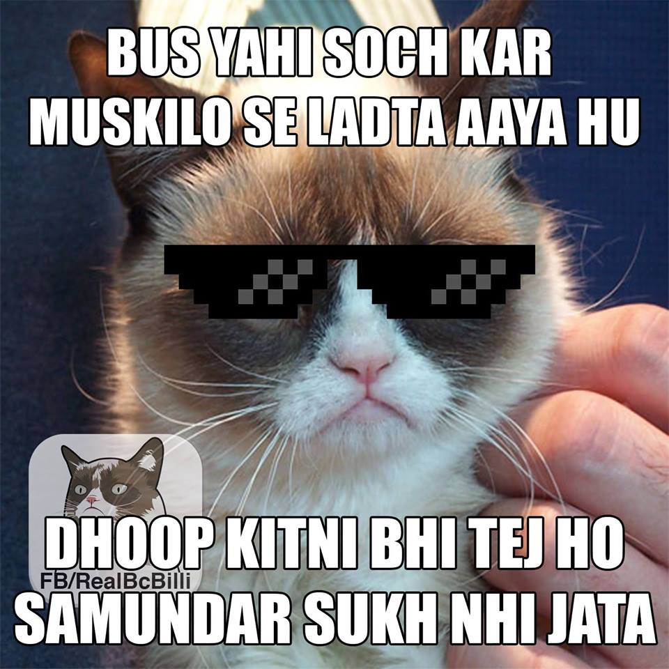 bakchod billi jokes