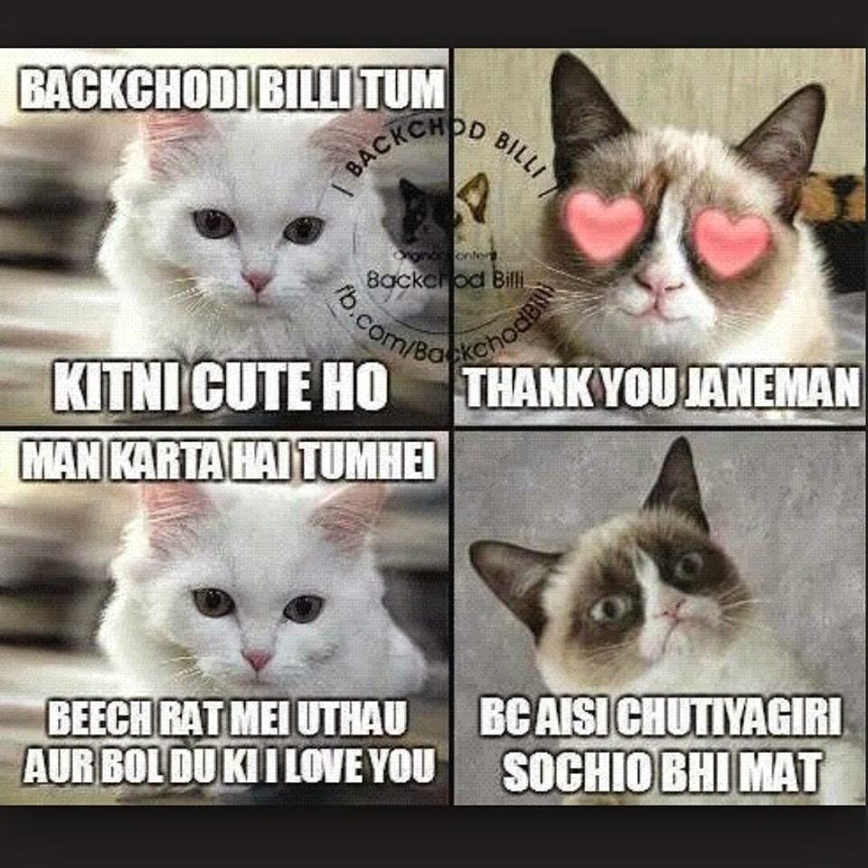 bakchod billi jokes