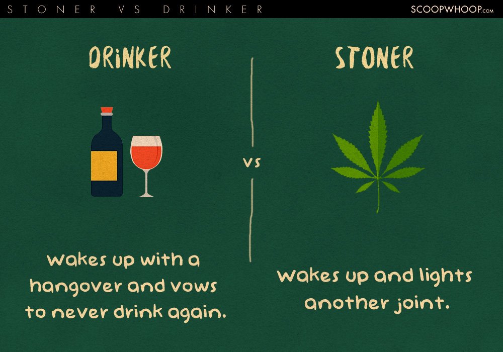 drinkers vs stoners