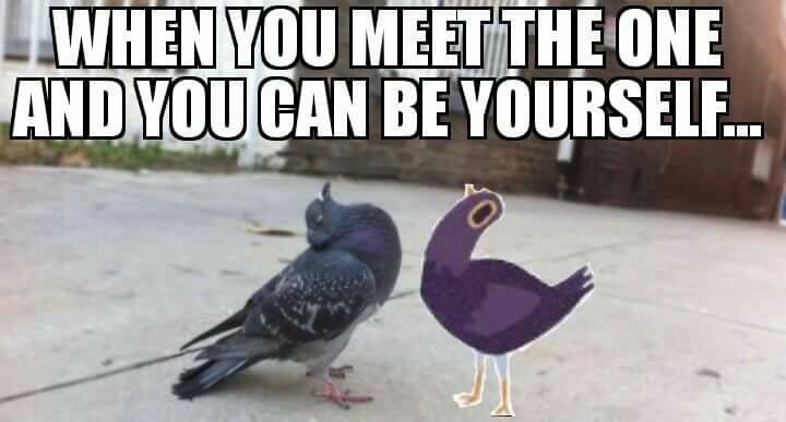 trash dove memes