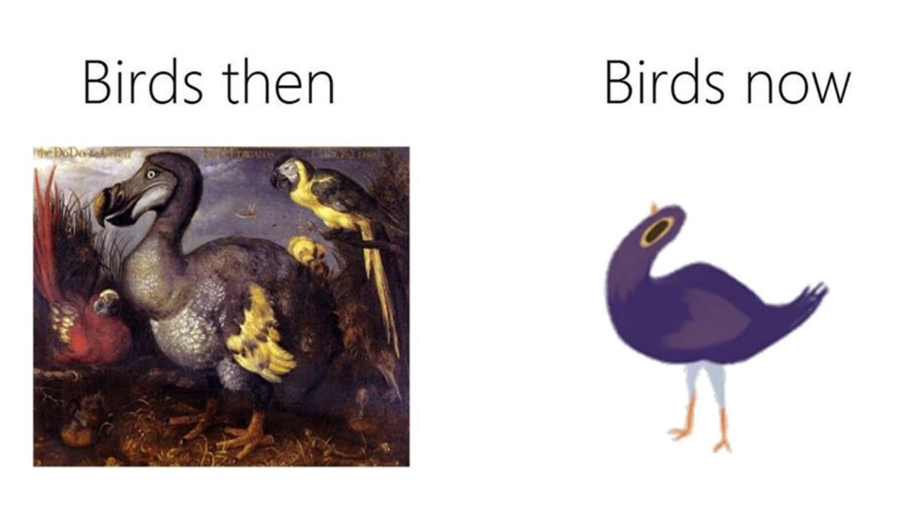 trash dove memes