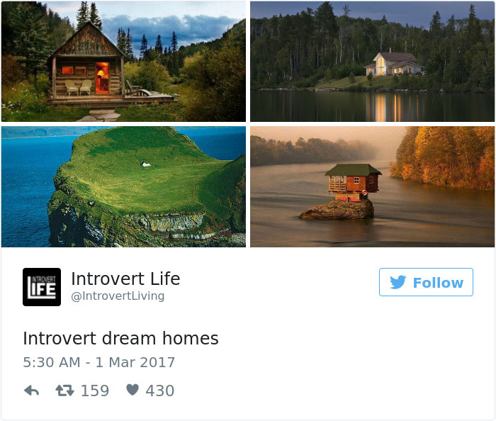 introverts tweets