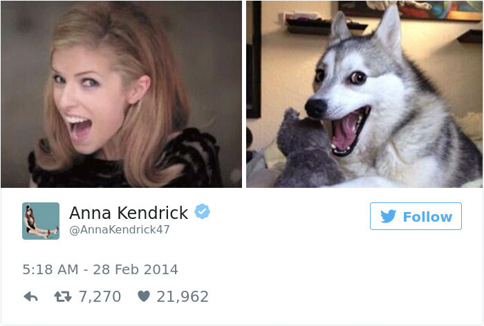 anna kendrick funny tweets