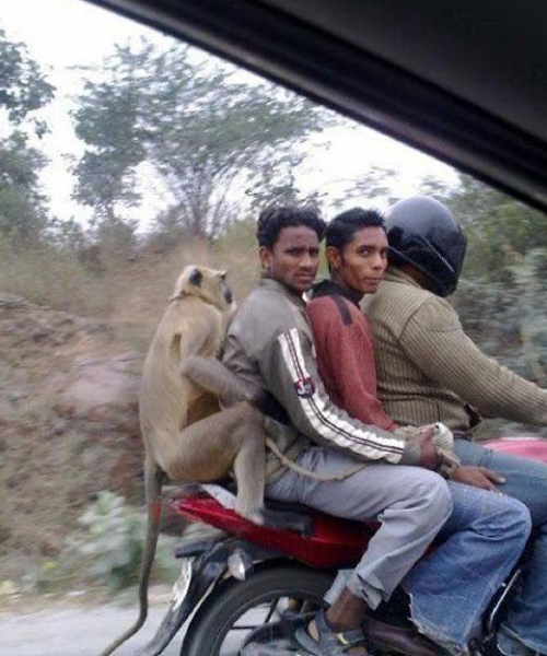 21 Pictures Of Things That Happen Only In India « Reader's Cave