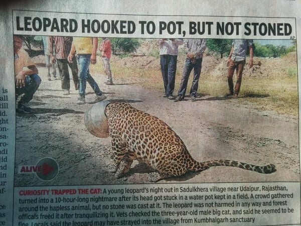 funny times of india headline