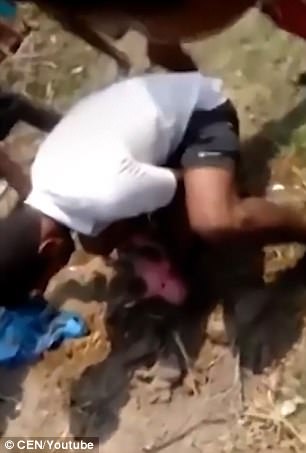 newborn baby girl buried alive