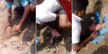 newborn baby girl buried alive