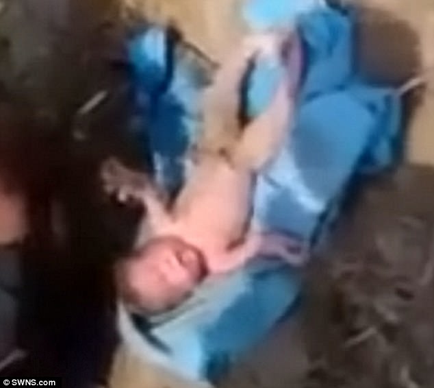 newborn baby girl buried alive