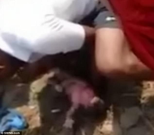 newborn baby girl buried alive