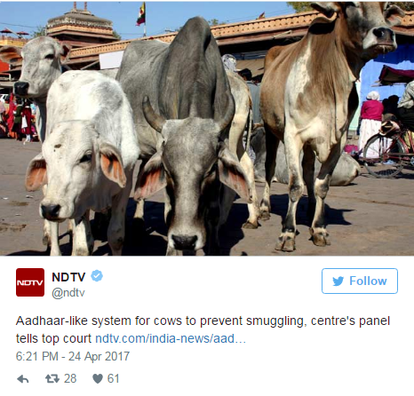 twitter reacts on adhaar for cattle