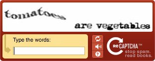 funny captchas