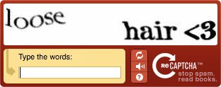 funny captchas