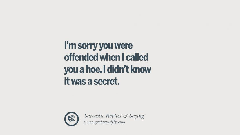 When you call текст. I’M sorry you were offended when i Called you a hoe. I didn’t know it was a Secret.😶 что это знасит. Как перевод are you offended.