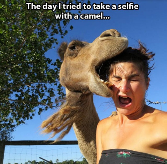 selfie attempts fail