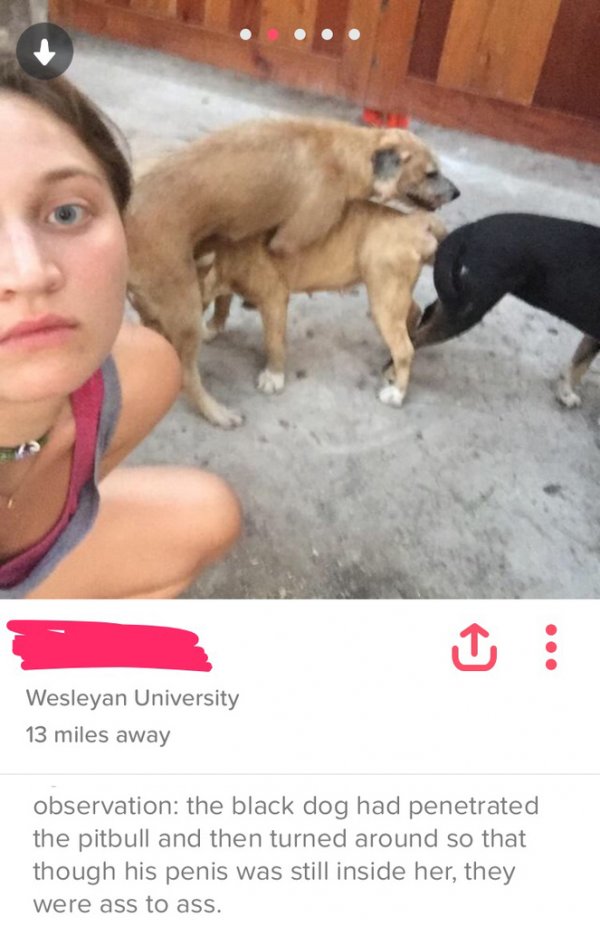 funny tinder profile