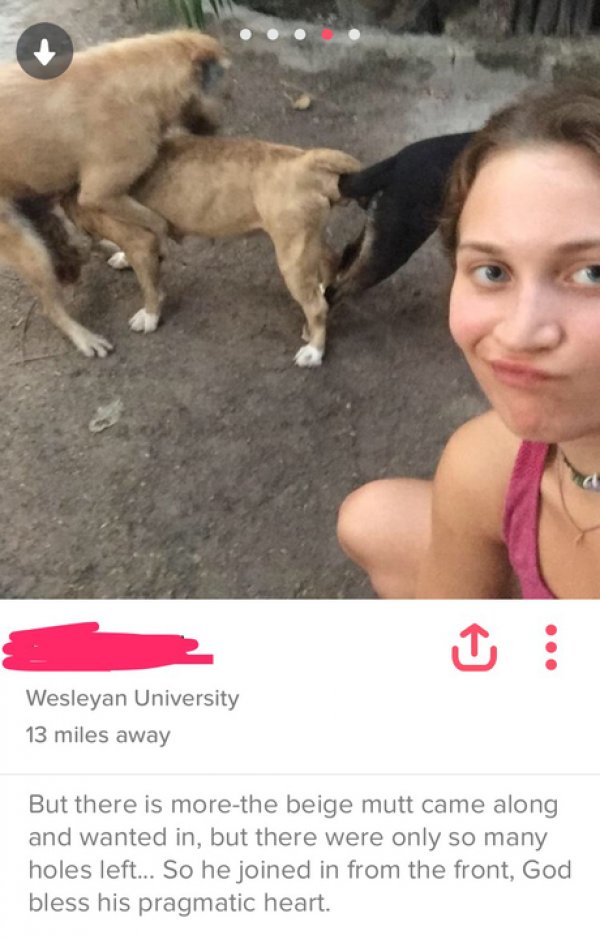 funny tinder profile