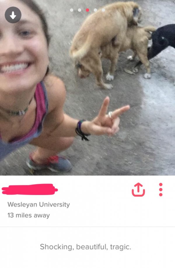 funny tinder profile