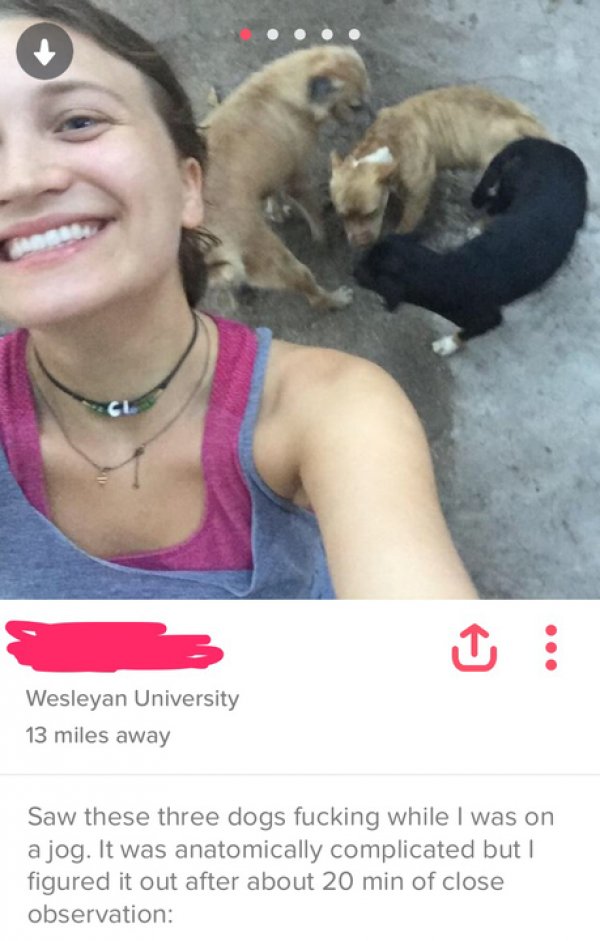 funny tinder profile