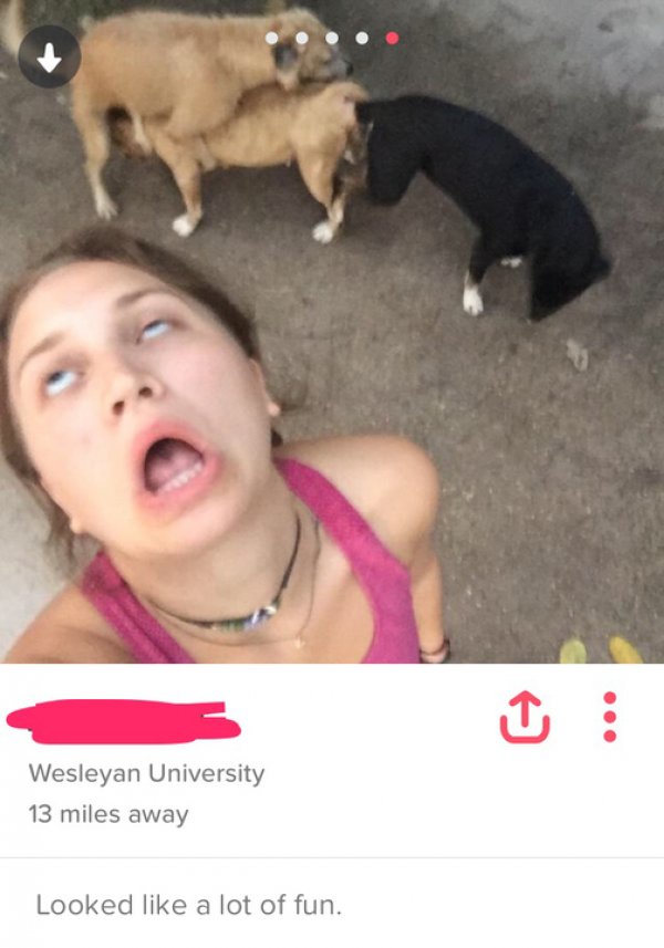 funny tinder profile