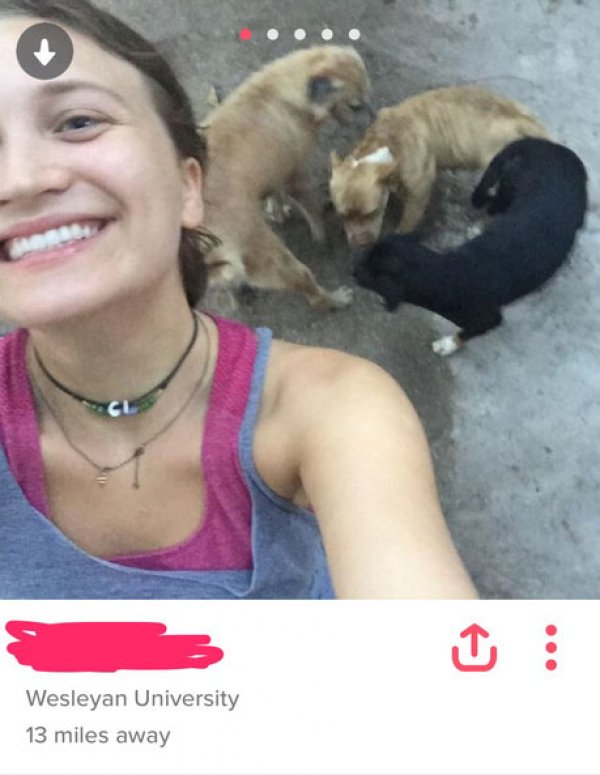 funny tinder profile