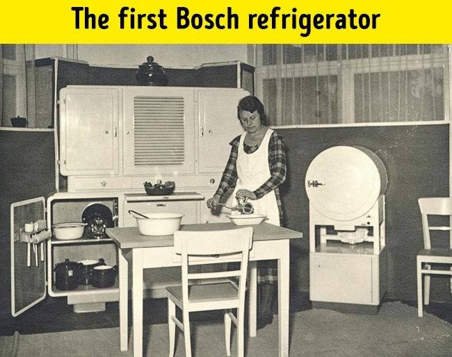 Firsh bosh refrigerator