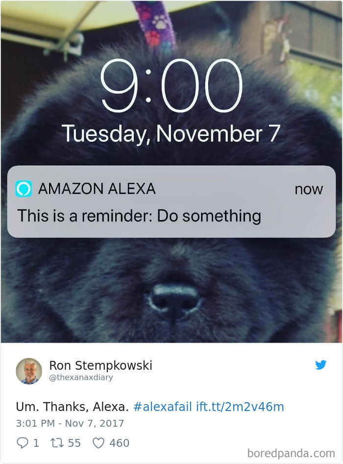 Funny Amazon Alexa Tweets